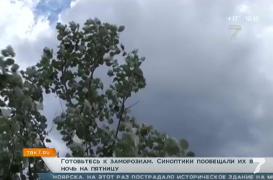 Гидрометцентр предупредил о заморозках и дожде со снегом