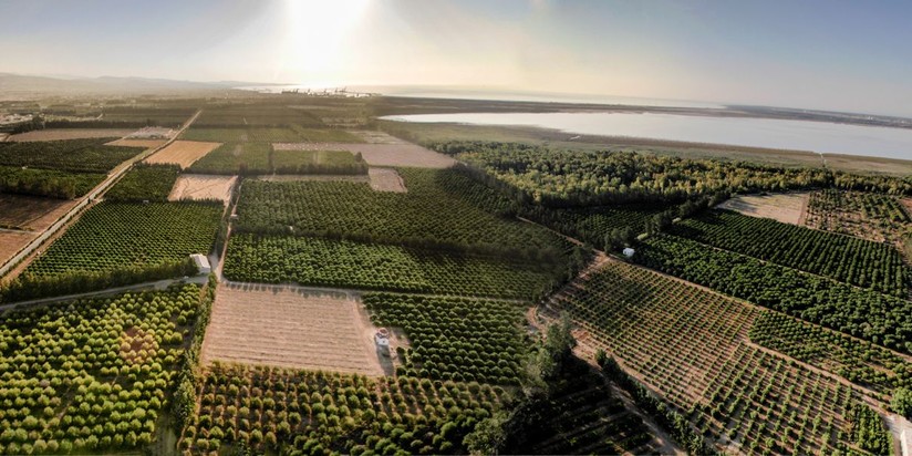 Кипр получит пятое гольф-поле на острове