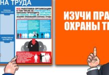 Охрана труда: что важно знать работодателю?