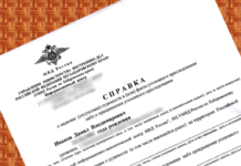 Как получить справку об отсутствии судимости?