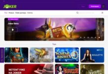 Помощь начинающим игрокам в онлайн казино Джокер