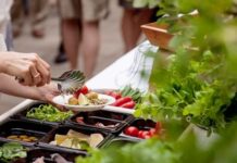 Выездной кейтеринг: правильное решение при организации выездного питания