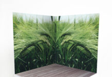 Фотофон для предметной съемки: как выбрать?