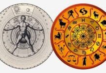 Виды астрологии: что выбрать новичку для изучения?