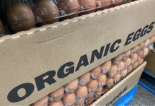 Виды картонных упаковок для яиц