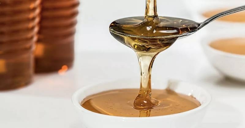 
Целебное лакомство: почему мед нельзя нагревать                