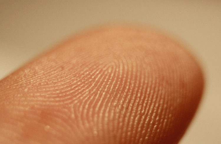
«Клеточные отпечатки пальцев» указывают на возможность заболеть раком                