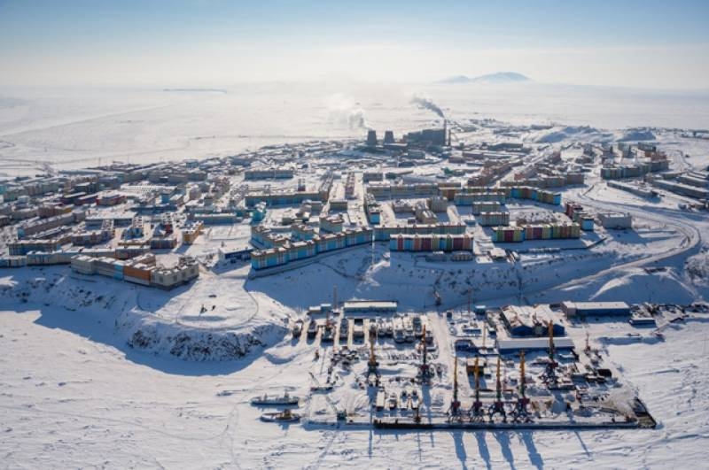 
Очередное достижение российских ученых: теперь в Арктике можно выращивать овощи и ягоды                
