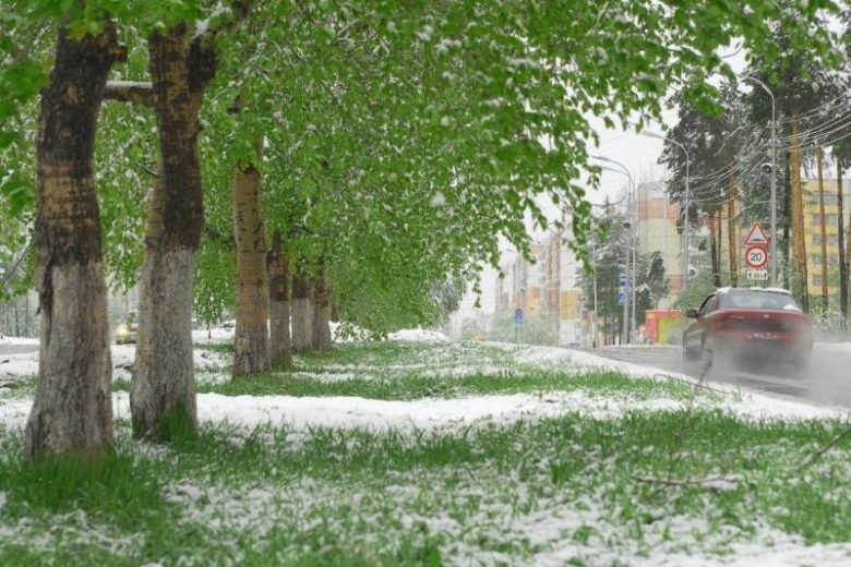 
Снег в конце лета: погода в выходные, 26 и 27 августа, удивит россиян                