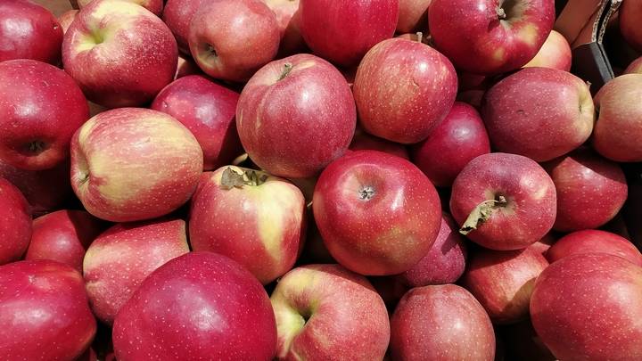 
Запреты Ермолаева дня 8 августа 2023 года: почему нельзя есть яблоки                
