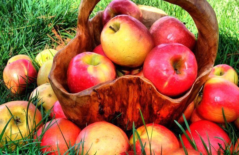 
Как правильно хранить яблоки, чтобы они долгое время оставались свежими и хрустящими                