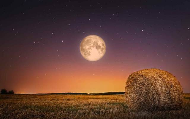 
Магическое полнолуние Кукурузной Луны: время для обновления и вдохновения                