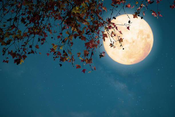 
Магическое полнолуние Кукурузной Луны: время для обновления и вдохновения                