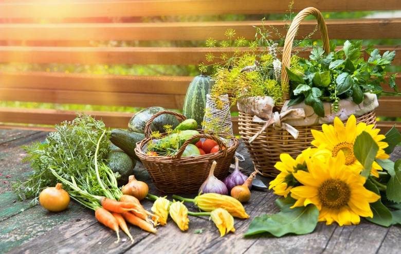 
Огород по лунному календарю: благоприятные дни для уборки овощей в сентябре 2023 года                