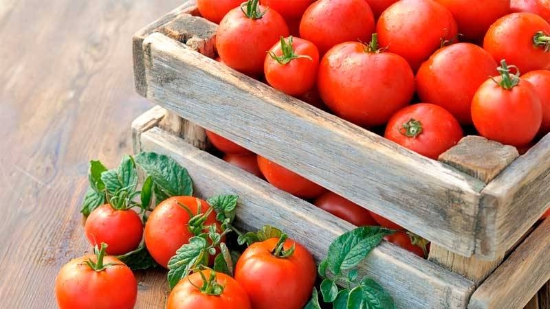 
Простые способы сохранить урожай помидоров до нового года без консервации                