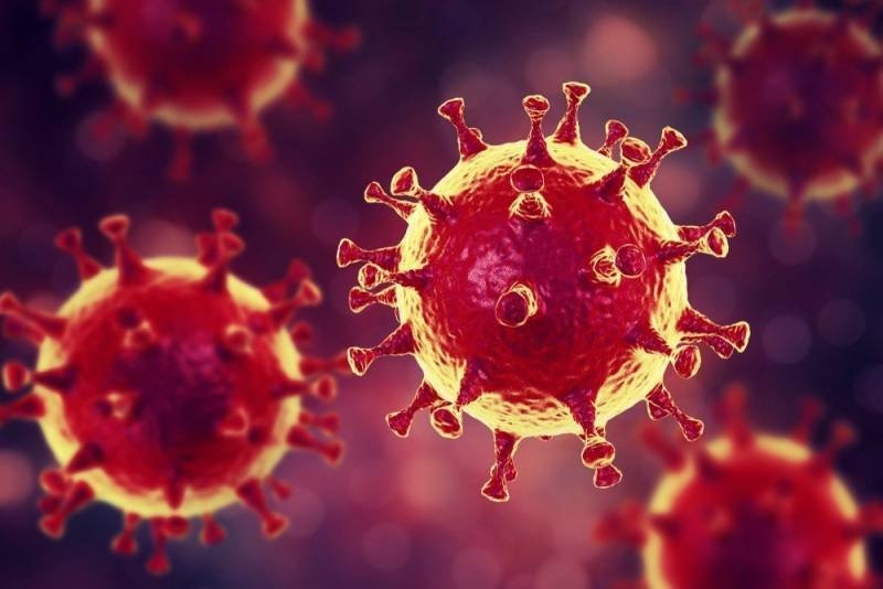 
Распространение нового штамма коронавируса «Пирола» и меры предосторожности                