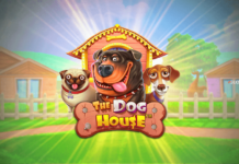 The Dog House: опыт игроков и секреты успешной игры