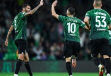 ФК Краснодар: что за клуб, его победы и поражения