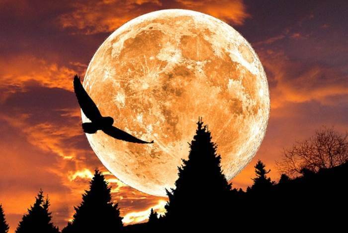 
Лунное затмение и Полнолуние Охотника 28 октября: время перемен и возможностей                