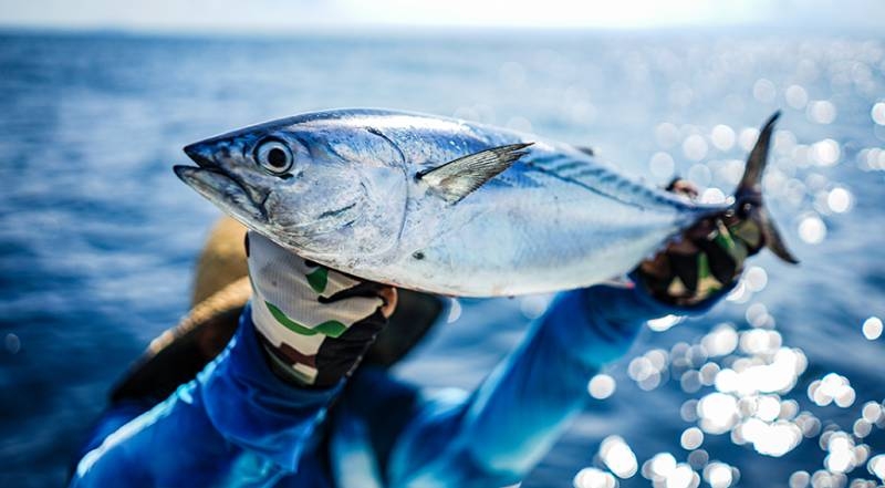 
Почему рыба может быть опасной для здоровья и какие виды лучше не есть: мнение токсиколога                