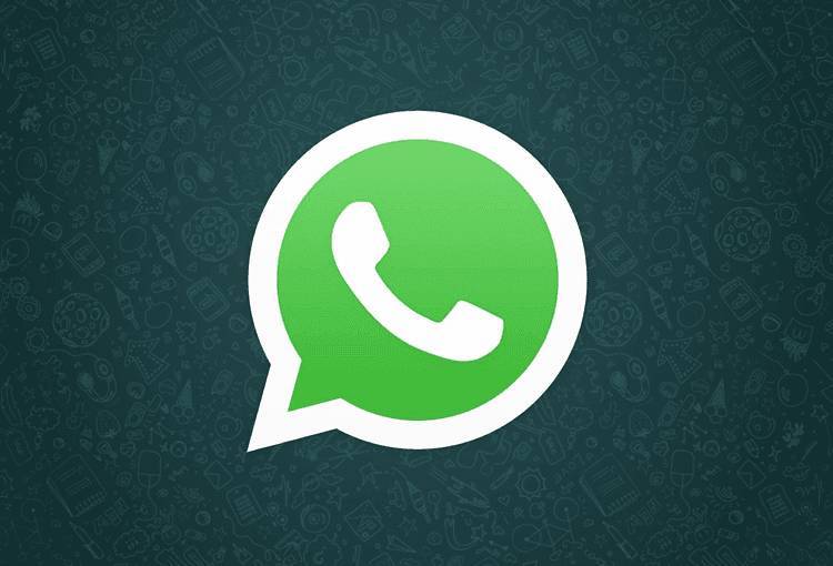 
У популярного мессенджера WhatsApp появилась новая функция                