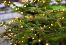 Новогодние гирлянды – праздник в любую погоду