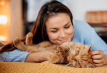 Любовь к кошкам у людей имеет множество причин.