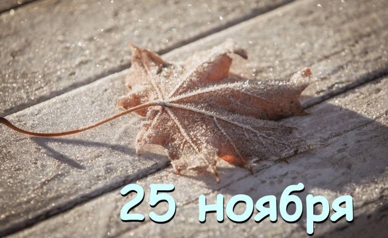 
Какие праздники отмечают в России и мире сегодня, 25 ноября 2023 года                