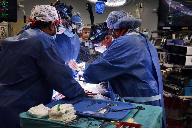 
В США умер второй пациент, которому пересадили сердце свиньи                