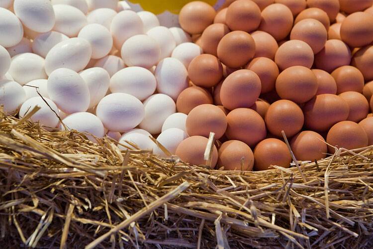 
20 яиц на человека: почему ввели такое ограничение в рознице                