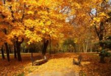 Украинцам обещают еще один летний месяц