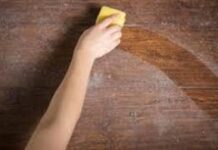 Насколько токсична домашняя плесень для человека