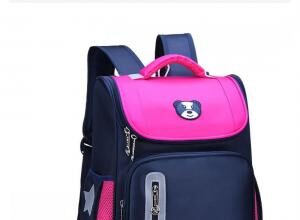 Рюкзак школьный: особенности выбора