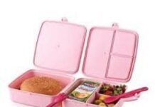 Что положить ребенку в ланч-бокс, чтобы было вкусно и полезно — личный опыт Натальи Холоденко