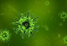 Хоакин Феникс выпустит фильм об опасных вирусах