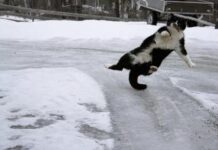 Как правильно падать во время гололеда: советы тренера по фигурному катанию