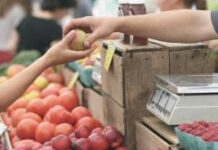 Что покупать на рынке в ноябре, а что – в магазине