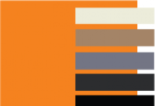 Объявлены два главных цвета 2021 года