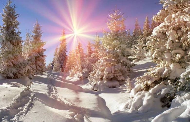 
День зимнего солнцестояния 21 декабря 2023 года: что ни в коем случае нельзя делать и как правильно загадать желание                