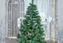 Почему живая ель лучше, чем искусственная, во время пандемии