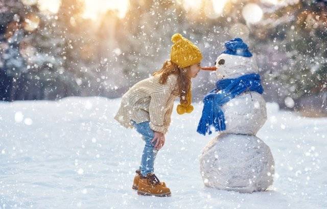
Погода в России: новогодние каникулы 2024 года обещают морозы и снег                