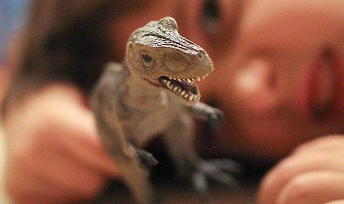 
Виноваты динозавры: ученые ответили на вопрос, почему люди быстро стареют                