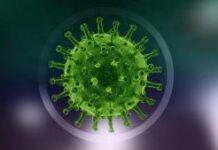 Ученый выдвинул объяснения существования необъяснимых тяжелых случаев COVID-19