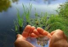 Семь восточных правил чистоты, чтобы изменить свою жизнь