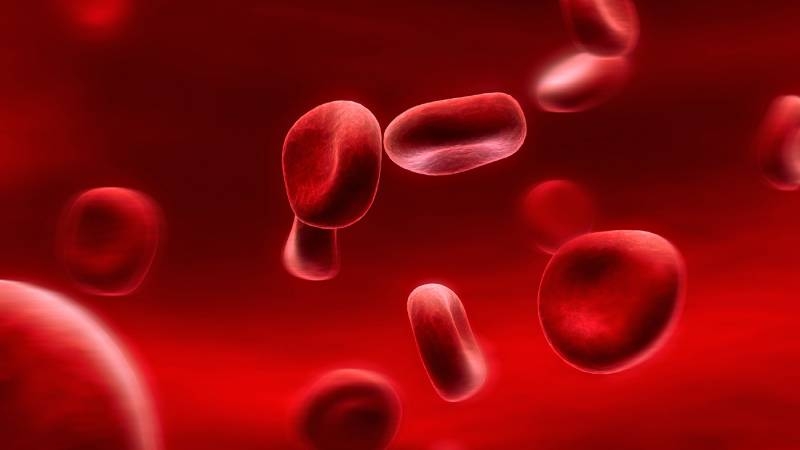
У людей с какой группой крови самый сильный иммунитет и крепкое здоровье, выяснили учёные                