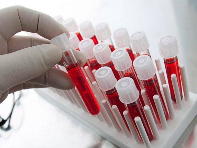 
У людей с какой группой крови самый сильный иммунитет и крепкое здоровье, выяснили учёные                