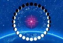 Лунный календарь огородника и садовода в сентябре 2019: благоприятные дни