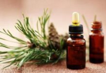 Как бороться с вредными насекомыми дома