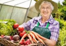 Лунный календарь огородника и садовода в октябре 2019: благоприятные дни