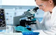 Супруги имеют схожие ДНК